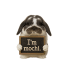 うさンプ:mochi（日常）（個別スタンプ：39）