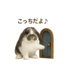 うさンプ:mochi（4コマ童話）（個別スタンプ：6）