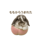うさンプ:mochi（4コマ童話）（個別スタンプ：9）