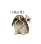 うさンプ:mochi（4コマ童話）（個別スタンプ：10）