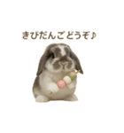 うさンプ:mochi（4コマ童話）（個別スタンプ：11）