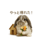 うさンプ:mochi（4コマ童話）（個別スタンプ：20）
