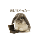 うさンプ:mochi（4コマ童話）（個別スタンプ：24）
