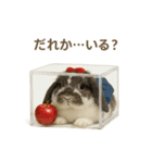 うさンプ:mochi（4コマ童話）（個別スタンプ：27）