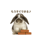 うさンプ:mochi（4コマ童話）（個別スタンプ：30）