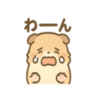 ふわもこモルモットさんの気分スタンプ（個別スタンプ：4）