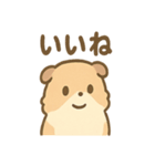 ふわもこモルモットさんの気分スタンプ（個別スタンプ：8）