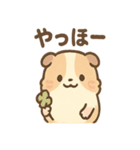 ふわもこモルモットさんの気分スタンプ（個別スタンプ：14）