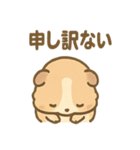 ふわもこモルモットさんの気分スタンプ（個別スタンプ：19）