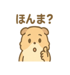 ふわもこモルモットさんの気分スタンプ（個別スタンプ：31）