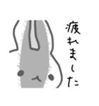 うさぎメンタル。(塩対応アルビノVer.)（個別スタンプ：21）