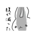 うさぎメンタル。(塩対応アルビノVer.)（個別スタンプ：22）