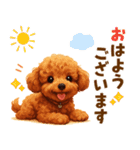 トイプードル好きのためのかわいい日常（個別スタンプ：1）