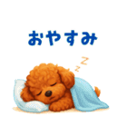 トイプードル好きのためのかわいい日常（個別スタンプ：4）