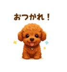 トイプードル好きのためのかわいい日常（個別スタンプ：11）