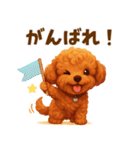 トイプードル好きのためのかわいい日常（個別スタンプ：30）