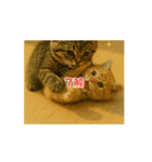 うし50@（個別スタンプ：1）