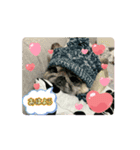 ♡Tetoのスタンプ♡（個別スタンプ：5）