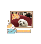 ♡Tetoのスタンプ♡（個別スタンプ：6）