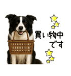 ボーダーコリー★毎日必ず使う返信スタンプ（個別スタンプ：26）