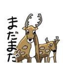 日本鹿のつぶやき。（個別スタンプ：11）