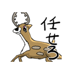 日本鹿のつぶやき。（個別スタンプ：12）