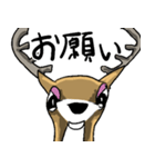 日本鹿のつぶやき。（個別スタンプ：17）
