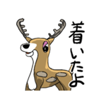 日本鹿のつぶやき。（個別スタンプ：19）