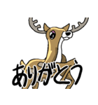 日本鹿のつぶやき。（個別スタンプ：23）