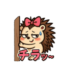 ドジ可愛ハリネズミ＊ピッピ毎日スタンプ4（個別スタンプ：35）