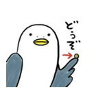 とりおDX（個別スタンプ：36）
