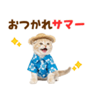 スコティッシュ子猫☆でか文字スタンプ（個別スタンプ：4）