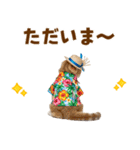 スコティッシュ子猫☆でか文字スタンプ（個別スタンプ：9）