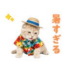 スコティッシュ子猫☆でか文字スタンプ（個別スタンプ：14）