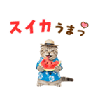 スコティッシュ子猫☆でか文字スタンプ（個別スタンプ：18）