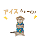 スコティッシュ子猫☆でか文字スタンプ（個別スタンプ：20）