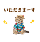 スコティッシュ子猫☆でか文字スタンプ（個別スタンプ：22）