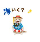 スコティッシュ子猫☆でか文字スタンプ（個別スタンプ：26）