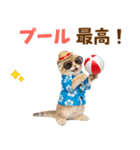 スコティッシュ子猫☆でか文字スタンプ（個別スタンプ：27）