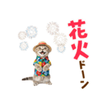 スコティッシュ子猫☆でか文字スタンプ（個別スタンプ：29）