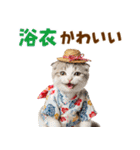 スコティッシュ子猫☆でか文字スタンプ（個別スタンプ：31）
