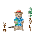 スコティッシュ子猫☆でか文字スタンプ（個別スタンプ：32）