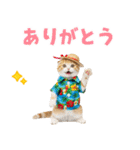 スコティッシュ子猫☆でか文字スタンプ（個別スタンプ：35）