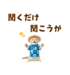 スコティッシュ子猫☆でか文字スタンプ（個別スタンプ：37）