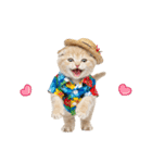 スコティッシュ子猫☆でか文字スタンプ（個別スタンプ：40）
