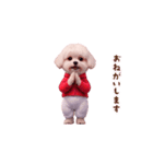 動く！モフモフ（個別スタンプ：2）