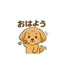 とっても可愛いマルプー（個別スタンプ：5）