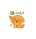 とっても可愛いマルプー（個別スタンプ：16）