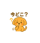 とっても可愛いマルプー（個別スタンプ：19）