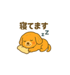 とっても可愛いマルプー（個別スタンプ：22）